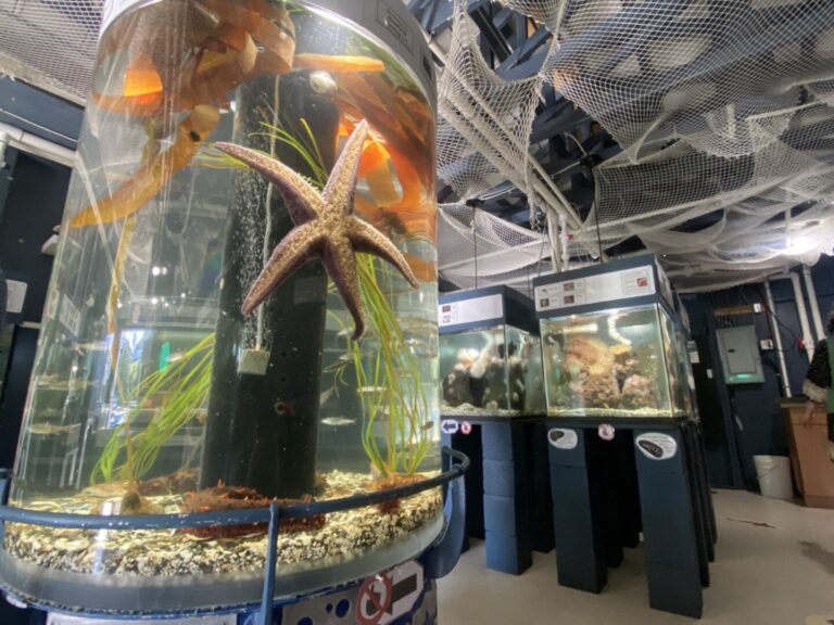 Discovery Passage Aquarium reopens next weekend