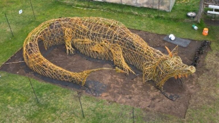 New willow sculpture to launch at Cortes Island School Friday